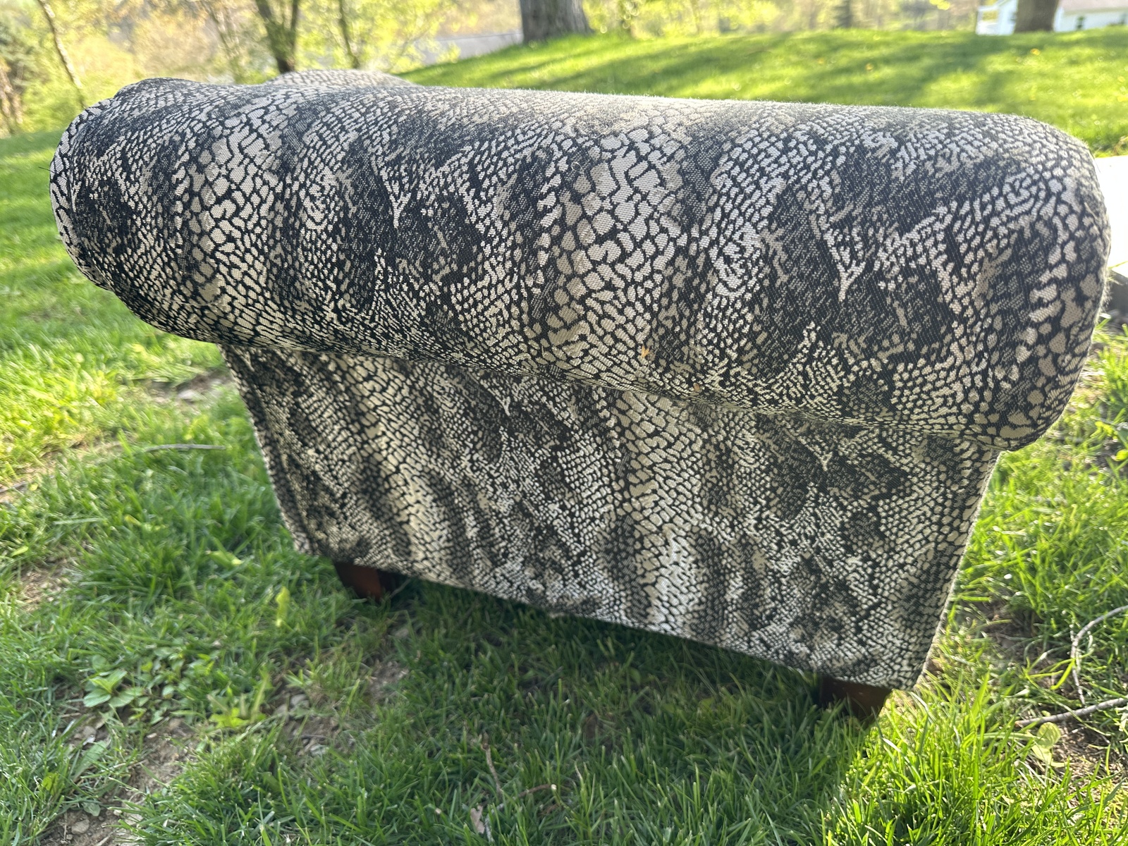Mini Chaise Photo 3